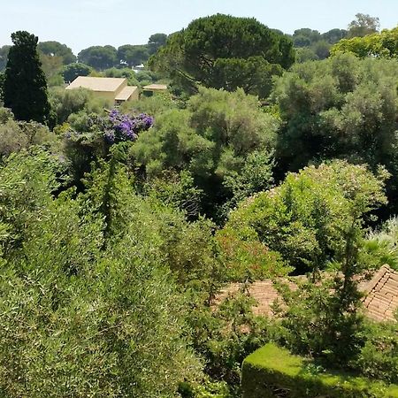 Green Cap D'Antibes Ngoại thất bức ảnh
