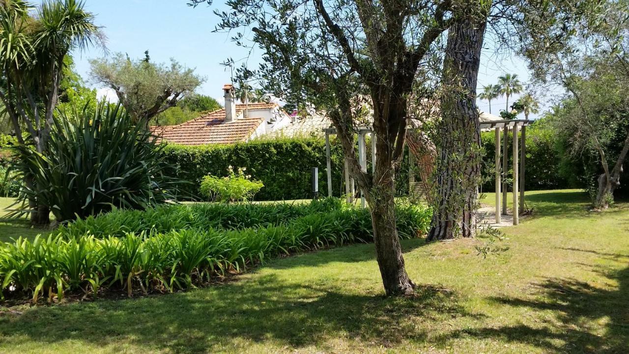 Green Cap D'Antibes Ngoại thất bức ảnh