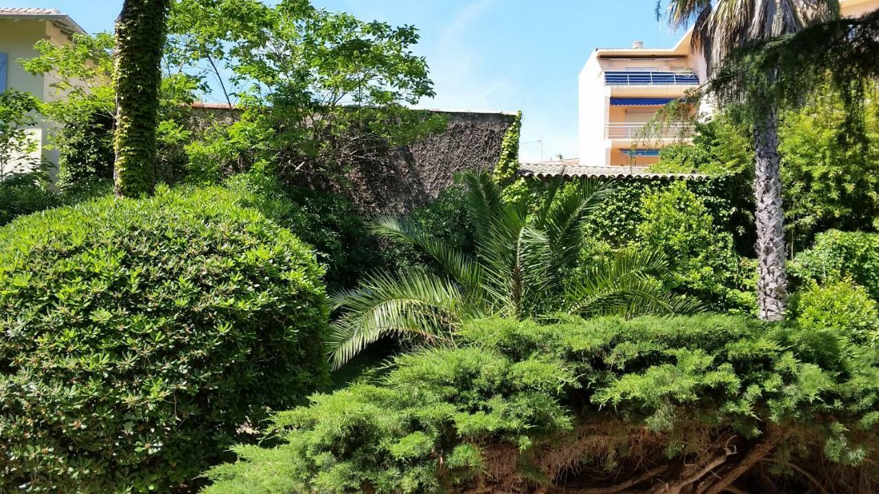 Green Cap D'Antibes Ngoại thất bức ảnh